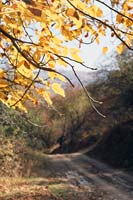Осенняя дорога (Каранкуль)