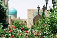Цветочная клумба в Регистане