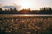 Солнечная поляна возле реки Карасу