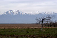 Вид на Туркестанский хребет