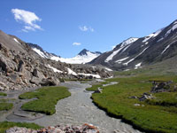 Исток Шовурсая (называется Тастар), вдалеке ледник Пахтакор