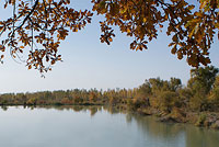 Осенний вид на озеро