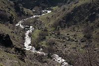 Горная река Шурабсай