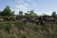 Редкие камни в Зарафшанском заповеднике