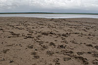 Песчано-глинистые берега