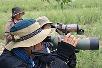 Туристы - орнитологи