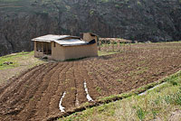 Дом и огород на Шавазсае