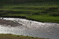 Русло реки и примыкающий огород