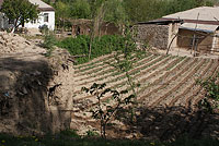 Дома и огороды в кишлаке Терсак