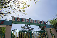 Ворота лагеря Золотинка