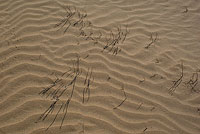 Песок Кызылкумов